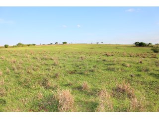 Property photo 13 - LAND AUCTION - 746+/- ACRES OFFERED IN 13 TRACTS BETWEEN NEWCASTLE AND BLANCHARD, OKLAHOMA